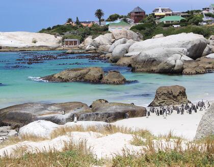 Boulders Beach Blick auf Simons Town