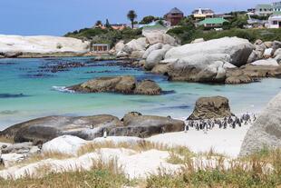 Boulders Beach Blick auf Simons Town