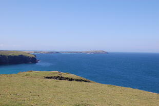 Küstenlandschaft nahe Padstow 