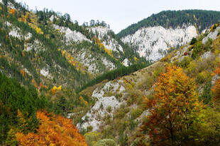 Rhodopen-Gebirge