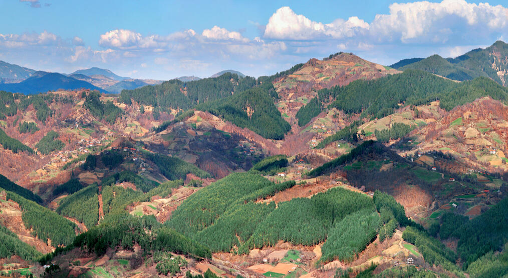 Rhodopen-Gebirge Panorama