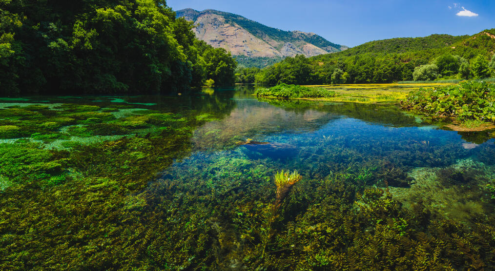 Syri i Kaltër