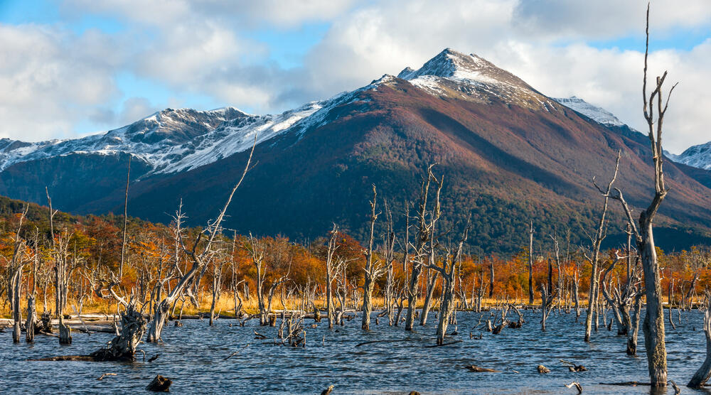 Tierra del Fuego