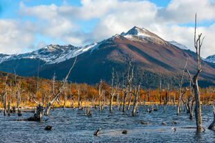 Tierra del Fuego