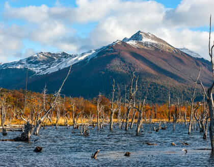 Tierra del Fuego