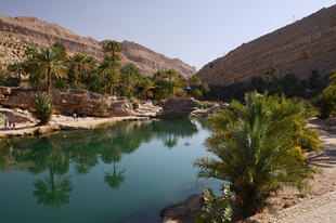 Wasserteich in Wadi Bani Khalid