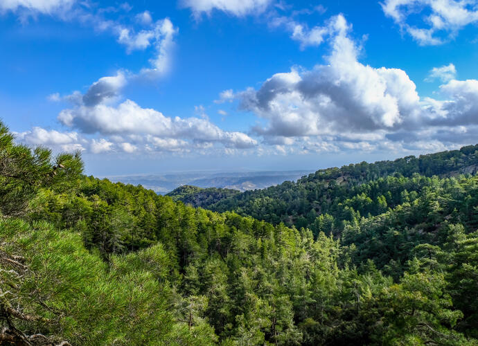 Panoramablick auf das Troodos-Gebirge