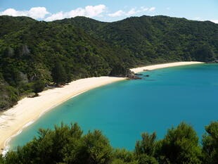 Strand im Abel Tasman National Park 