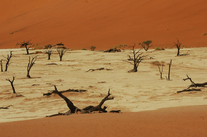 Dead Vlei