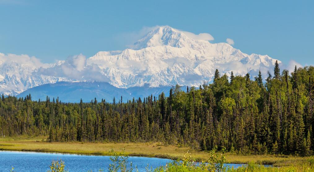 Denali