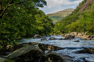 Fluss in Beddgelert