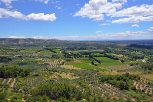 Landschaft im Luberon