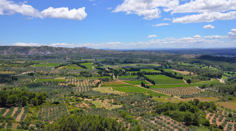 Landschaft im Luberon