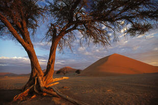 Sossusvlei Duene