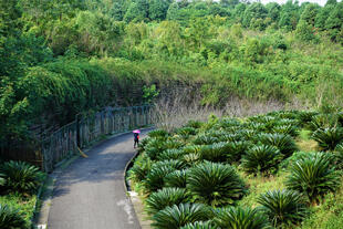 Vielfalt der Landschaft rund um Chengdu 