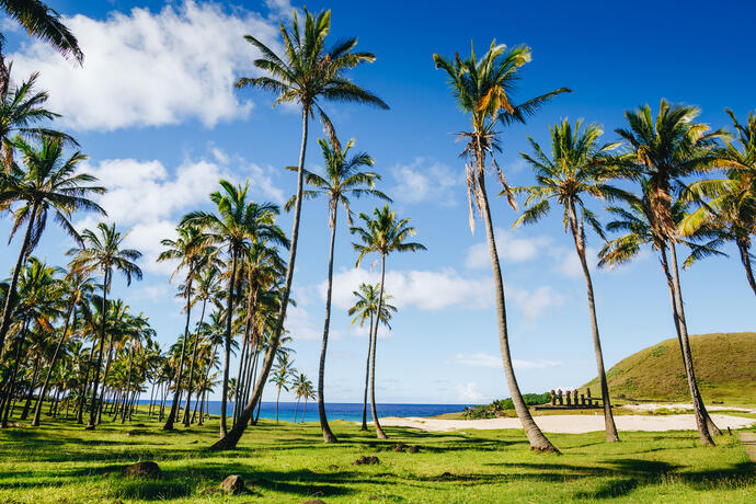 Anakena Beach auf den Osterinseln