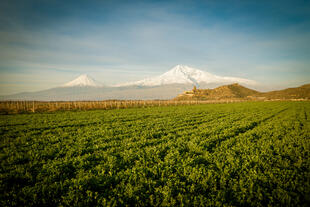 Ararat Berg