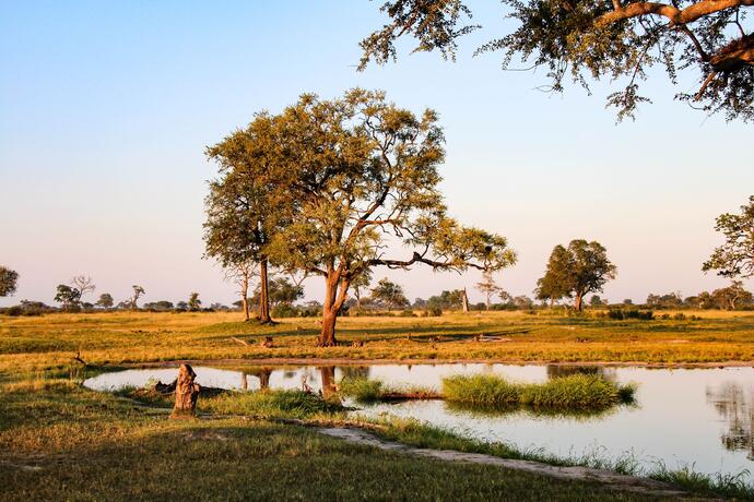 Hwange Nationalpark