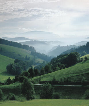 Schwarzwaldpanorama