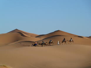 Erg Chebbi 