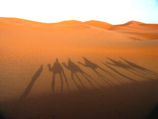 Schatten in den Duenen von Merzouga