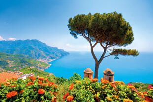 Baum vor Bucht bei Villa Rufolo