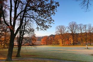 Sonnenaufgang im Hagaparken