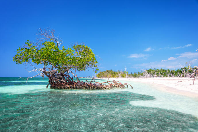 Verlängerung auf Cayo Levisa