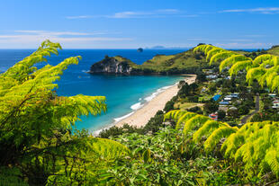 Halbinsel Coromandel