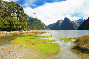 Milford Sound 