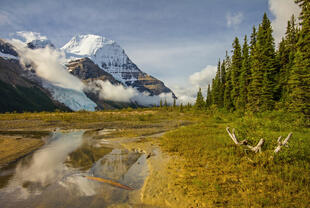 Mount Robson