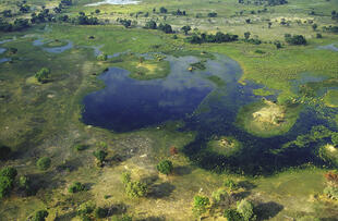 Okavango Delta