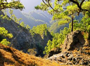 Der Caldera de Taburiente Nationalpark