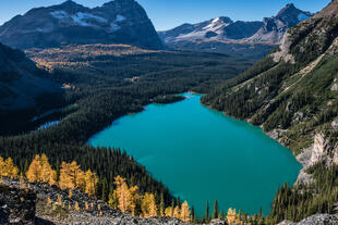 Lake O'Hara 