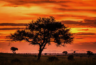 Sonnenuntergang im Nationalpark