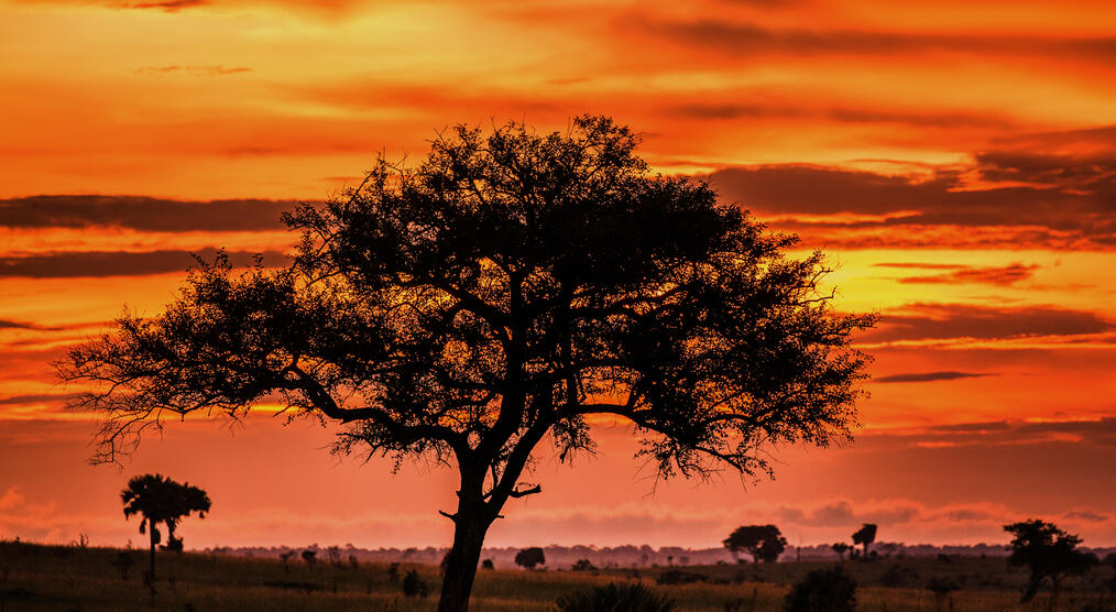 Sonnenuntergang im Nationalpark