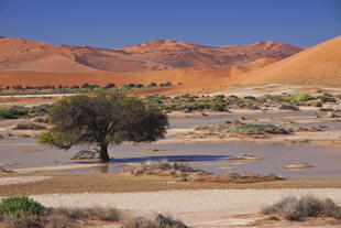 Sossuvlei