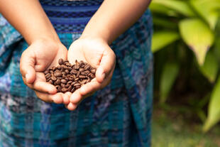 Kaffee aus Costa Rica