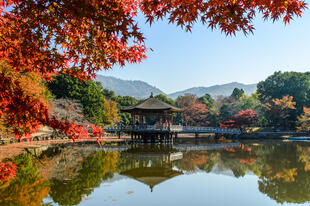 Nara-Park