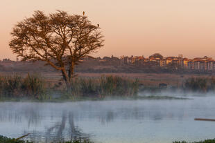 Sonnenuntergang im Nairobi Nationalpark