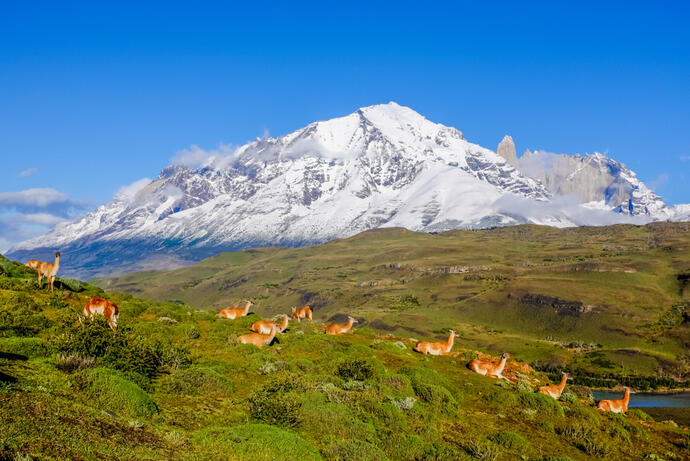 Torres del Paine Nationalpark