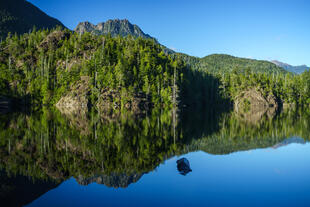 Larry Lake im Pacific Rim National Park 