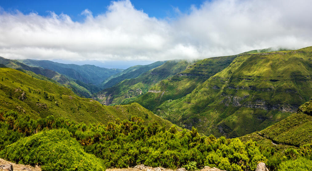 Madeira