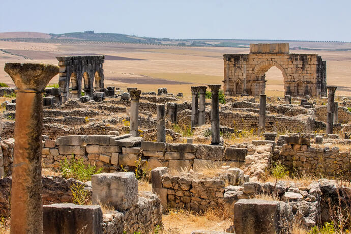 Volubilis 