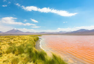 Laguna Colorada