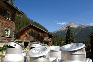 Milchkannen vor Huette mit Bergpanorama 