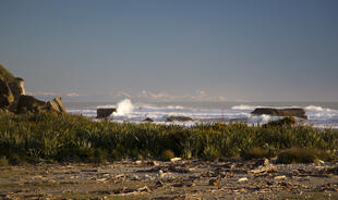 Strandabschnitt des Punakaiki Resort