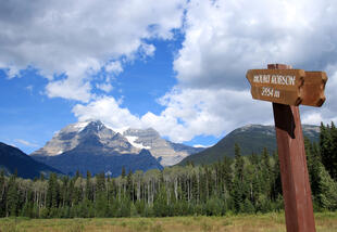 Mount Robson