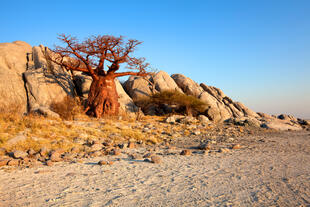 Makgadikgadi