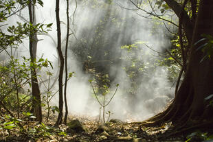 Rincon de la Vieja